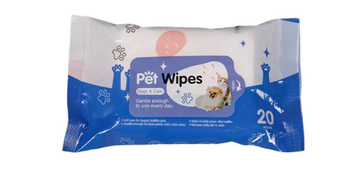 What to Pay Attention to when Buying Pet Non-woven Wipes
