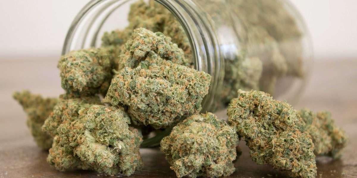 A Sweet and Potent Indica: Reviewing the Strawberry Gorilla Strain