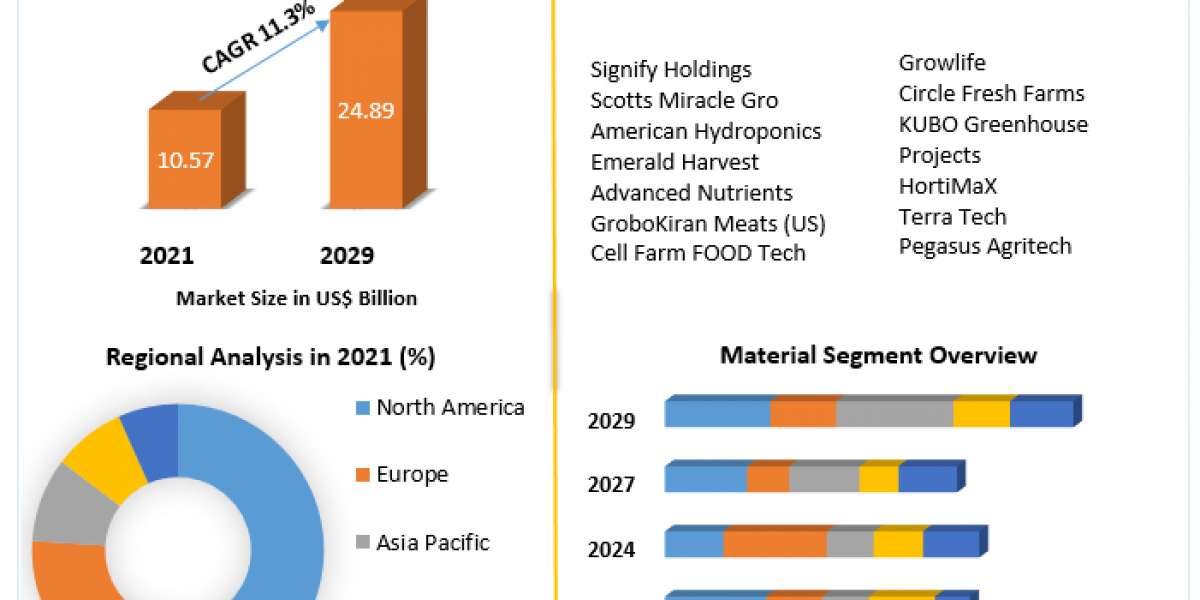 Hydroponics Market Research Report Size and Growth, Latest Trends 2029