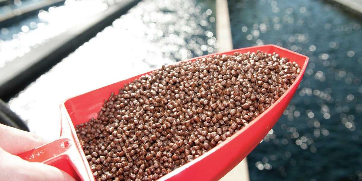 Aquafeed Antioxidants Market Value with Volume and Growth Prospects 2023 to 2029