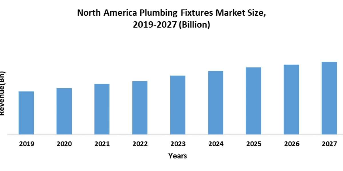 North America Plumbing Fixture Market Trends, Market Share, Industry Size, Growth, Sales, and Market Forecast to 2029