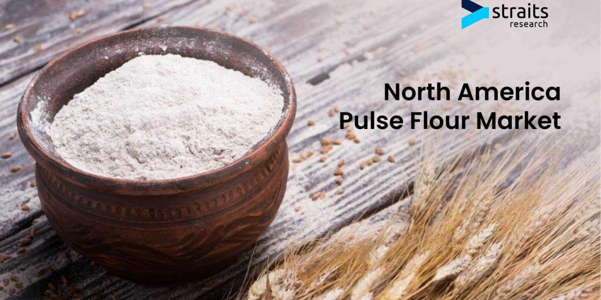 North America Pulse Flour  Market Research – Growth Opportunities and Revenue Statistics by Forecast