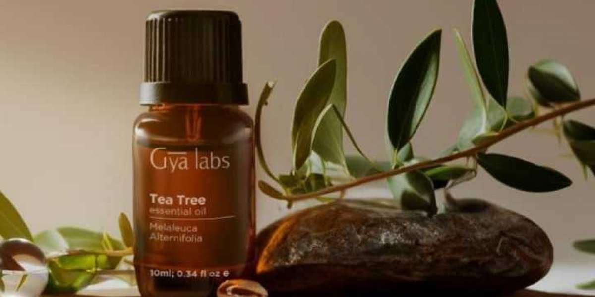 Banish Itchy Scalp: How to Use Tea Tree Oil for Hair Itch Relief