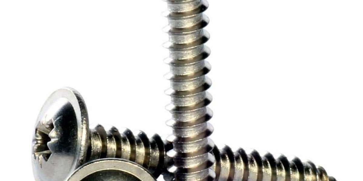 Unlocking the Secrets of Stainless Steel Tapping Screws