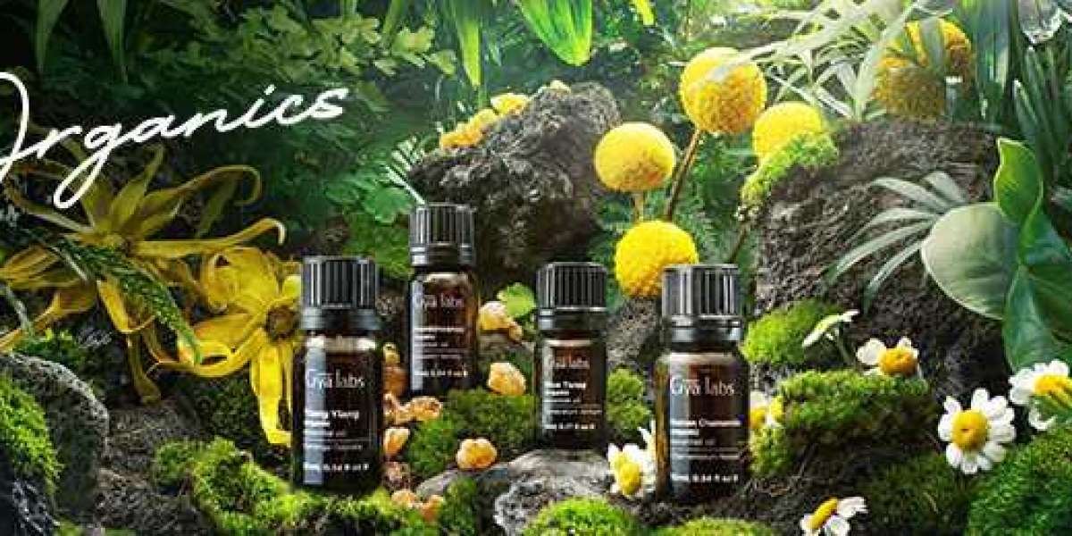 The Best Organic Essential Oils: A Journey into the World of Gyalabs' Purity and Quality