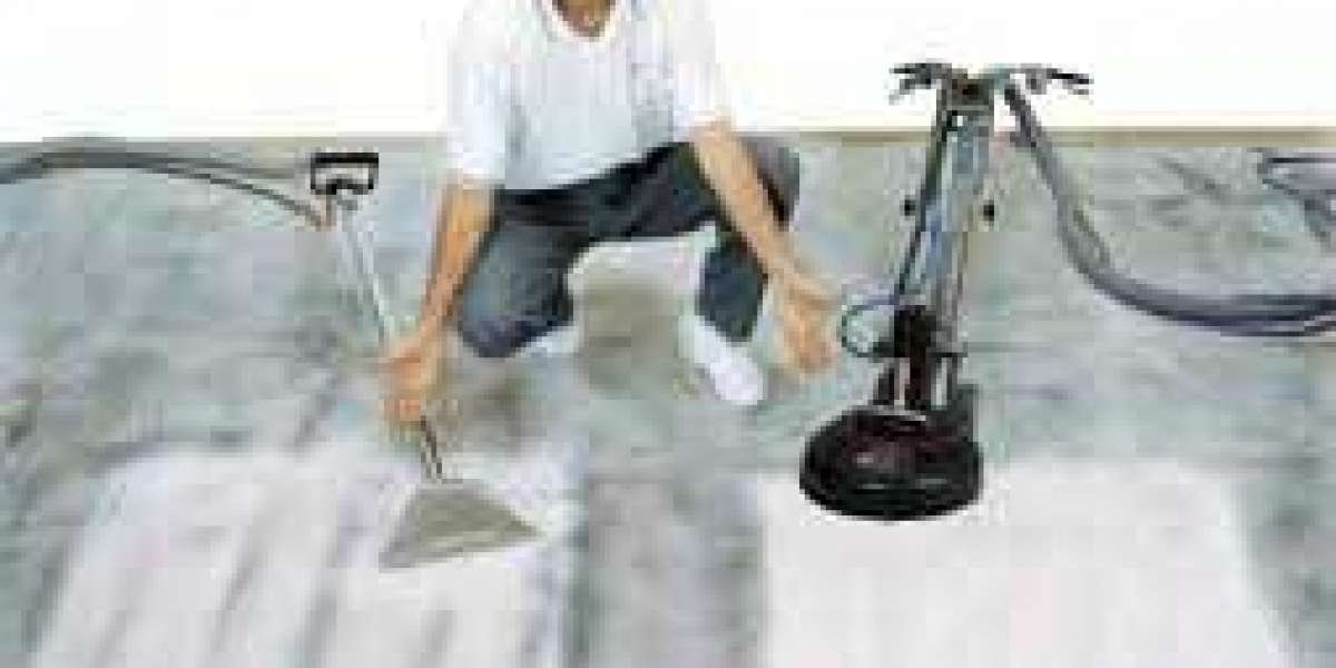 Capturing the Transformation through Professional Carpet Cleaning Services