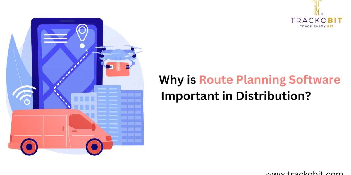 Why is Route Planning Software Important in Distribution?