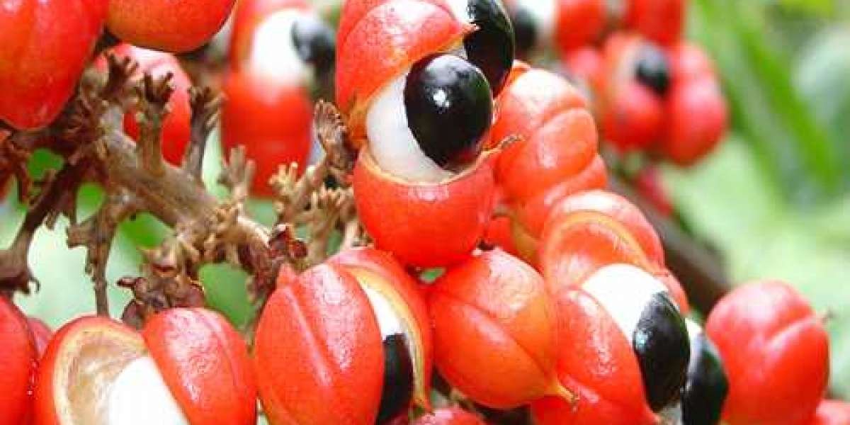 Guarana Powder Market Future Landscape To Witness Significant Growth by 2033