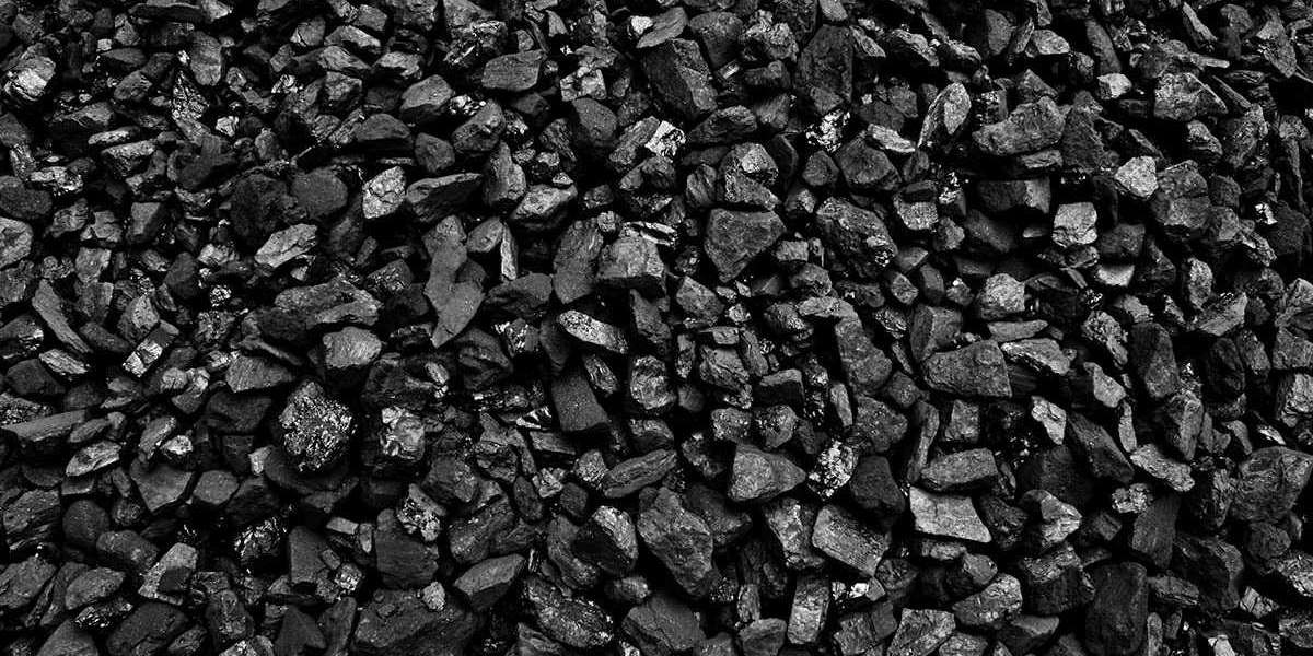 Project Report 2024: Setting up a Petroleum Coke Manufacturing Plant