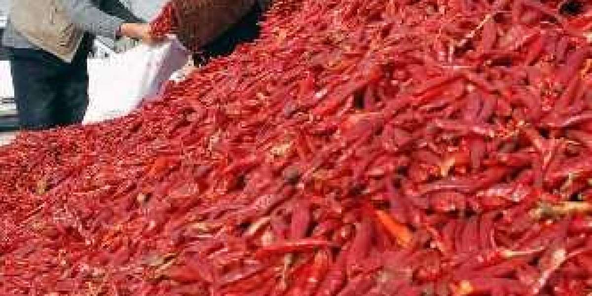 Keys to Running a Profitable Chili Pepper Processing Plant 2024: Industry Trends and Machinery