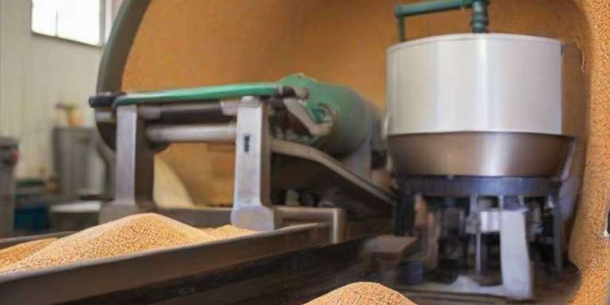  Farro Processing Plant Report 2024 | Project Details, Machinery Requirements and Cost Involved