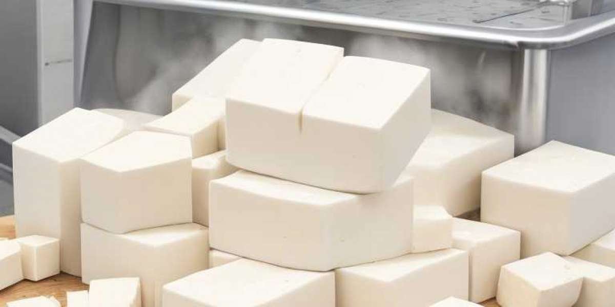 Tofu Manufacturing Plant Project Report 2024: Business Plan, Machinery, Land and Construction Cost
