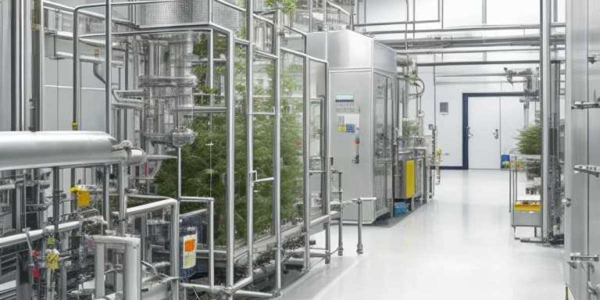 Cannabis Processing Project Report 2024: Complete Roadmap for Setting up a Plant Unit