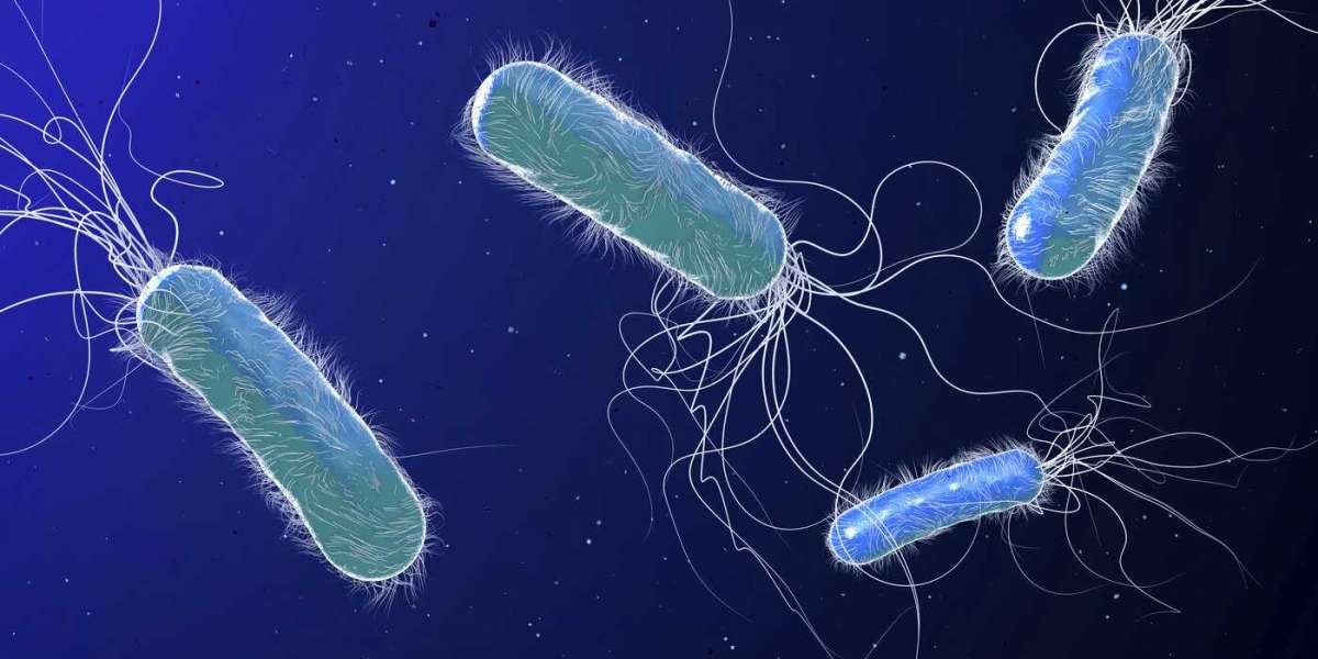 Pseudomonas Aeruginosa Treatment Market Insights Report by Size, Share, Trend, Global Analysis, Key Players and Forecast