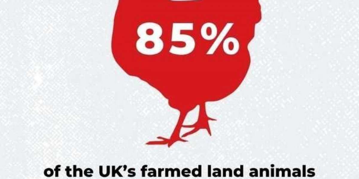 The Science Behind Ethical Vegan Eating: Uncovering the Environmental Impact