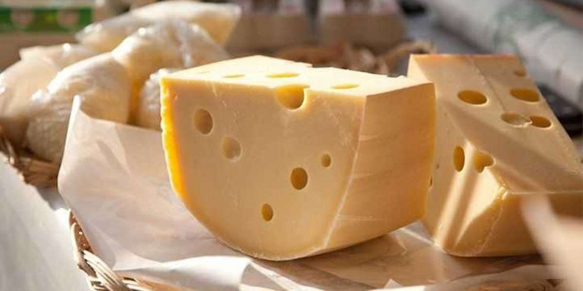 Cheese Manufacturing Plant Report 2024 | Requirements and Machinery
