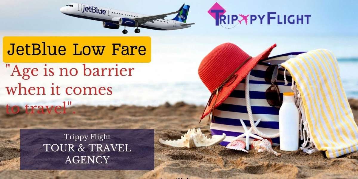 JetBlue Low Fares: A Gateway to Frugal and Fantastic Journeys