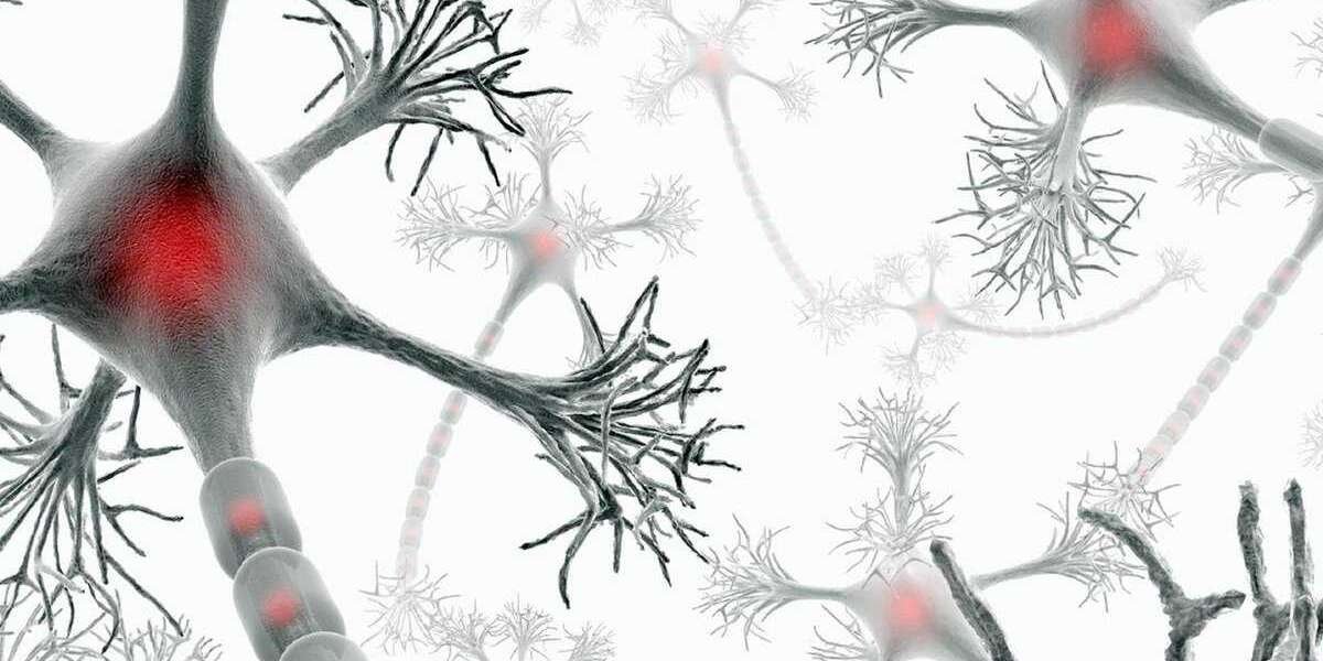 Global Multiple Sclerosis Treatment Market Insights on Industry Size, Share & Growth