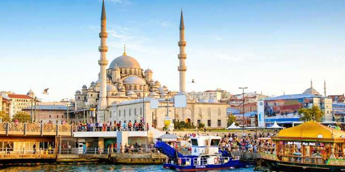 Unraveling Turkey Visa Mysteries: The Price for Indian Travelers