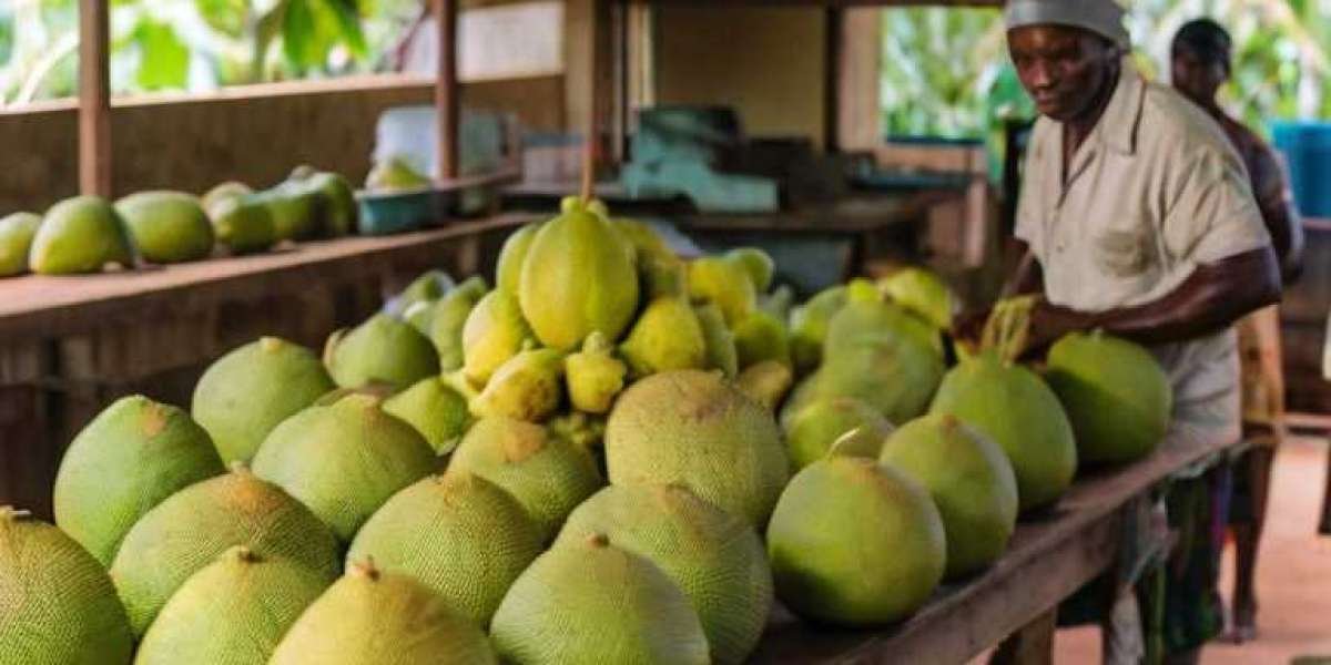 Breadfruit Processing Plant Project Report 2024: Industry Trends, Plant Setup and Machinery