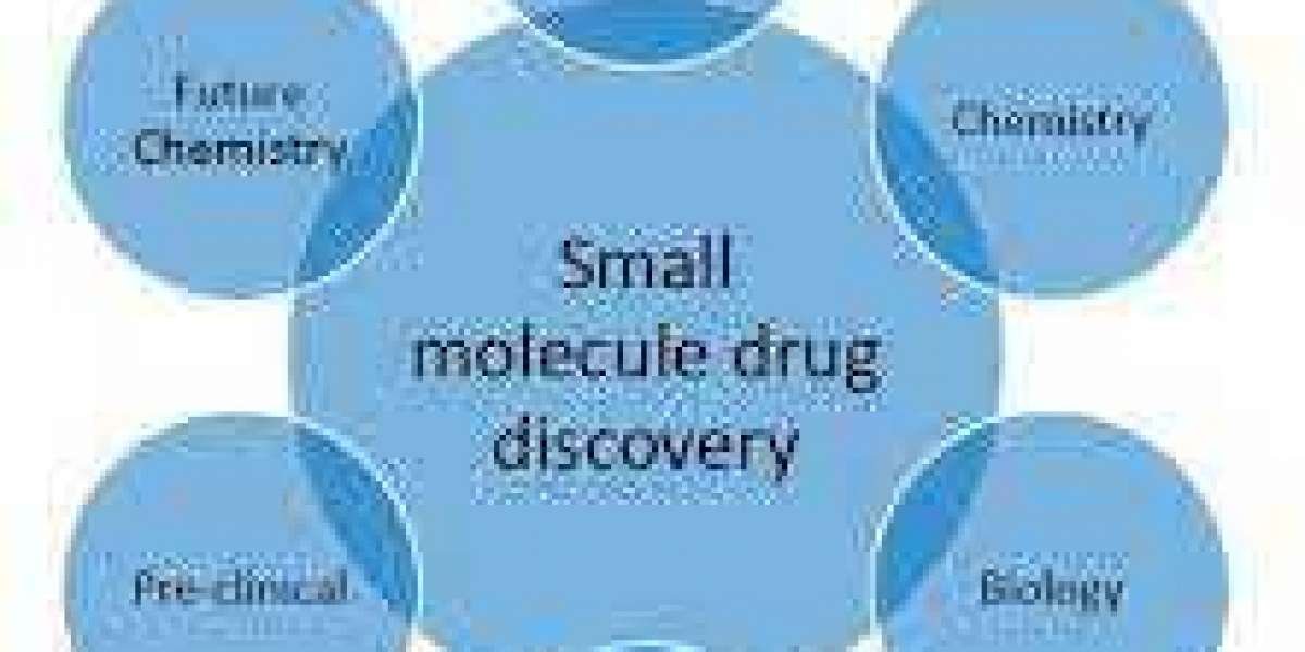 Small Molecule Discovery Market Size, Share Analysis, Key Companies, and Forecast To 2030