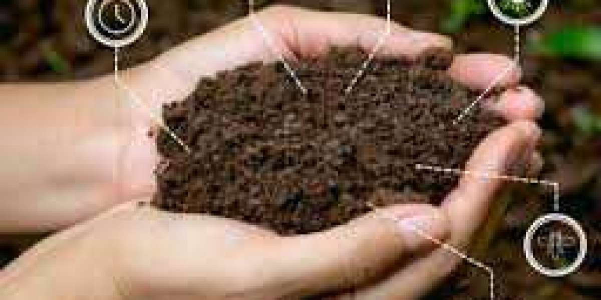 Humic Acid Market Share, Revenue Report and Latest Trends 2024-2032