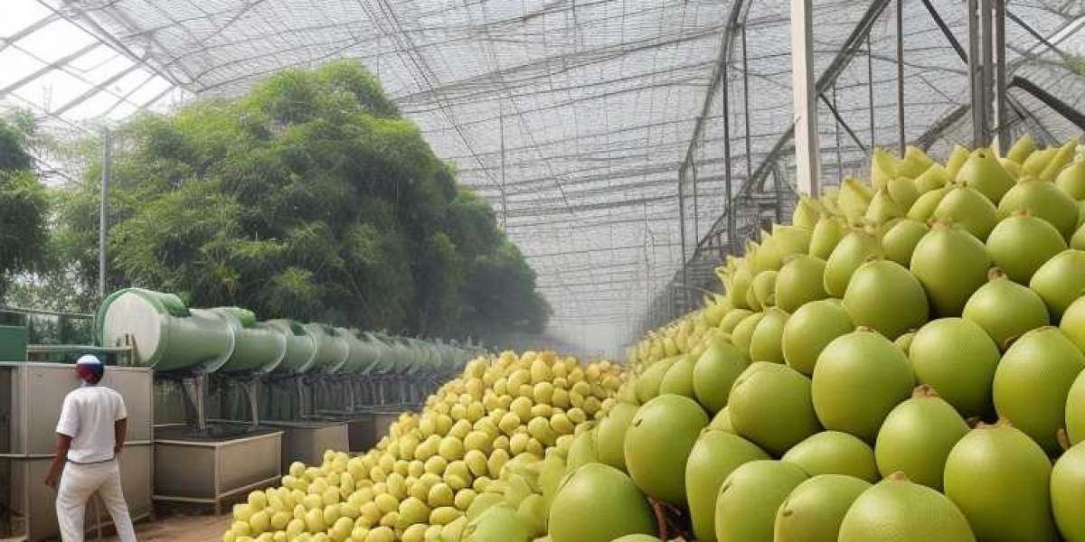 Jackfruit Processing Plant Project Report 2024, Setup Details, Machinery Requirements and Cost Analysis