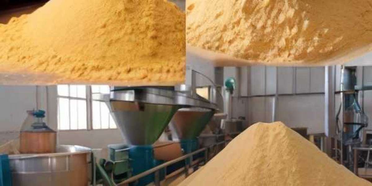 Potato Powder Manufacturing Plant Project Report 2024: Unit Setup and Raw Materials