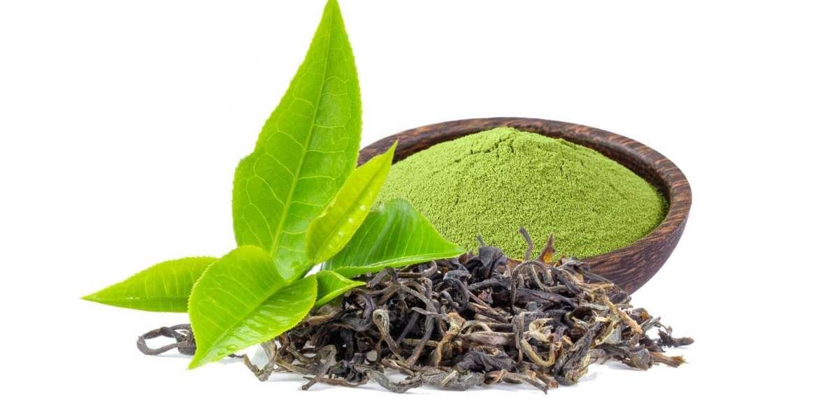 Tea Extract Market With Manufacturing Process and CAGR Forecast by 2033