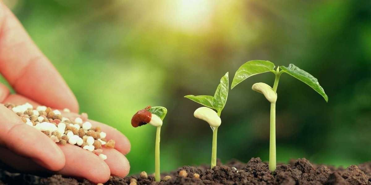 Setting Up a Successful Organic Fertilizer Manufacturing Plant: Project Report 2024