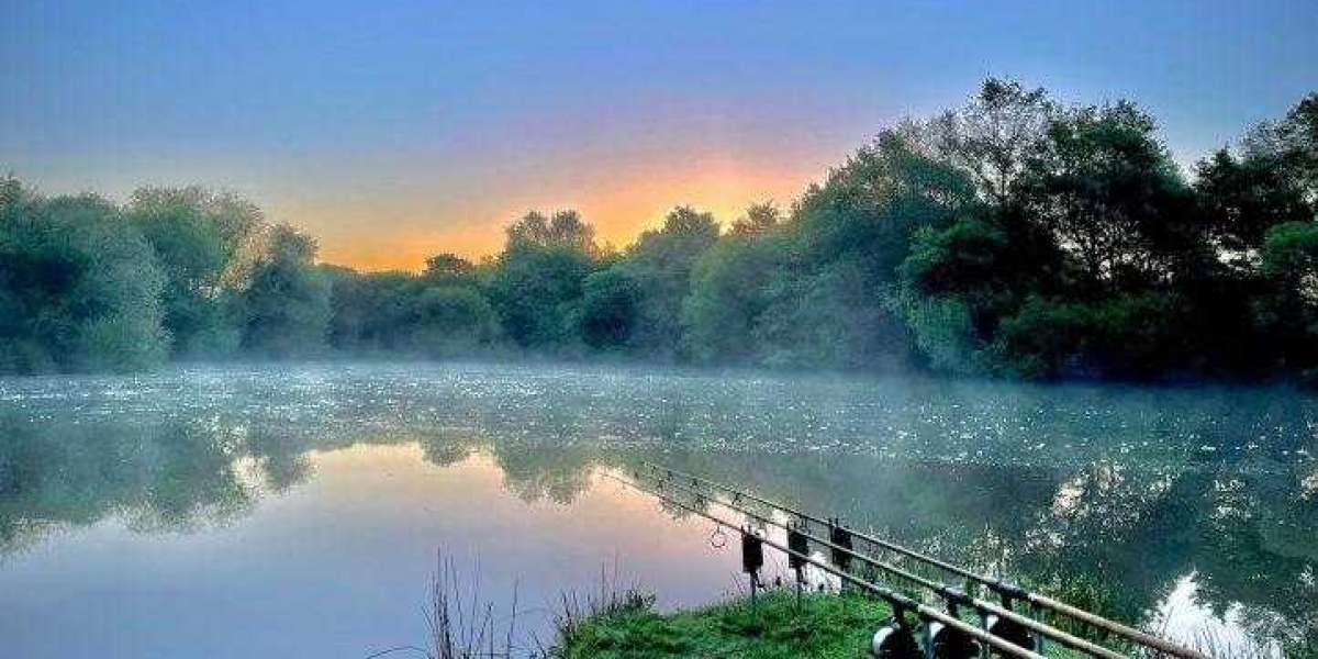 Discovering Serenity: Carp Fishing Lakes in France
