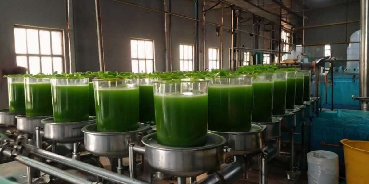 Aloe Vera Gel Manufacturing Plant Project Report  