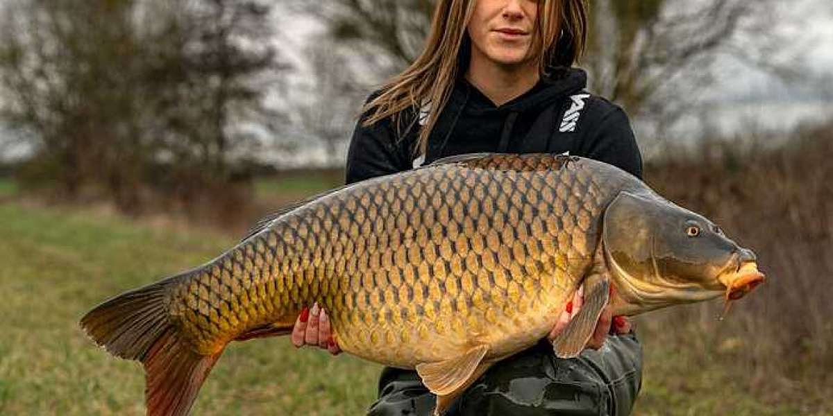 Insider's Guide to French Carp Holidays