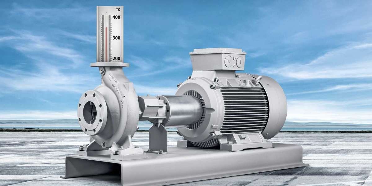 Europe Water Pumps Market: A Comprehensive Analysis of Regional Dynamics and Trends
