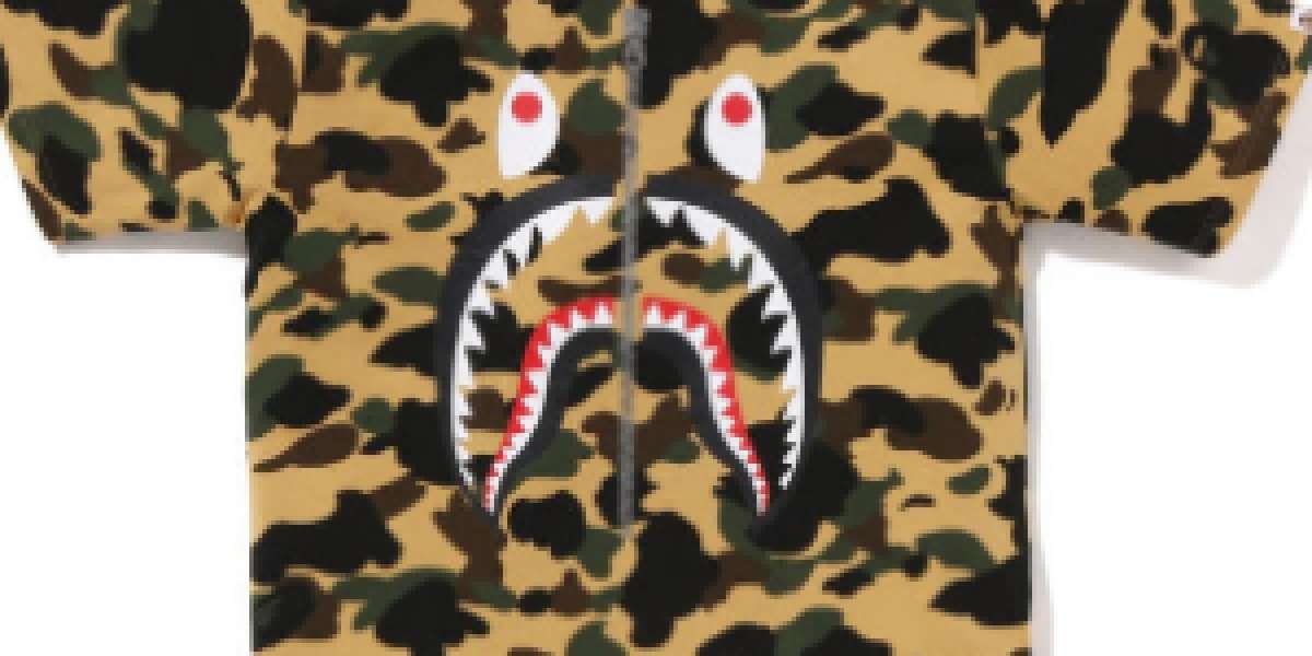 The Timeless Appeal of BAPE Hoodies