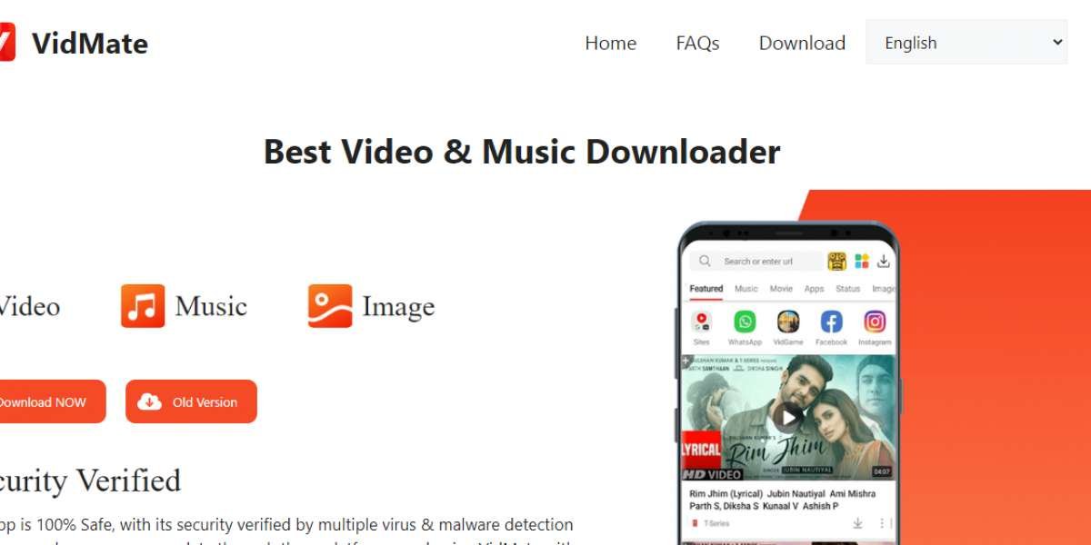 Best Video and Music Downloader 2024