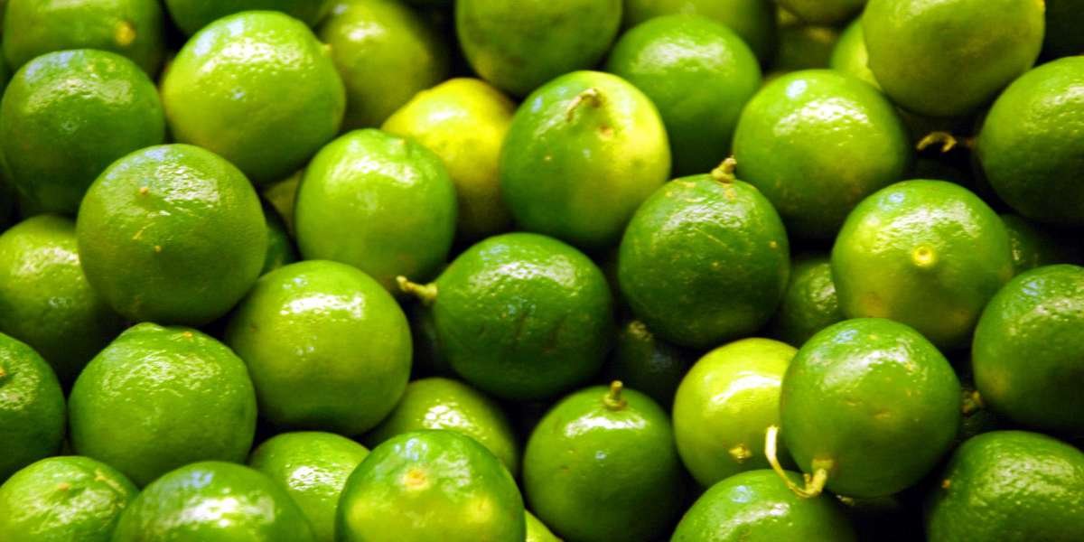 Prefeasibility Report on a Lime Processing Plant, Industry Trends and Cost Analysis