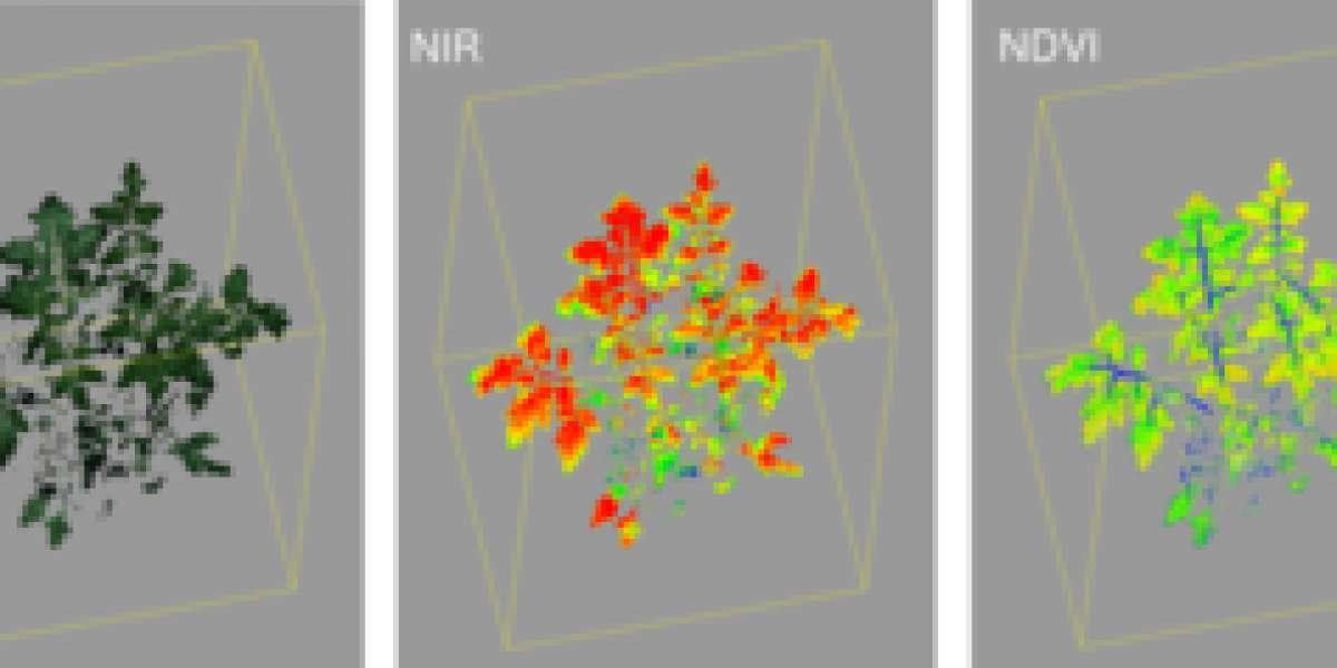 Unlocking Opportunities: Plant Phenotyping Market Poised to Reach US$ 497.4 Million by 2033