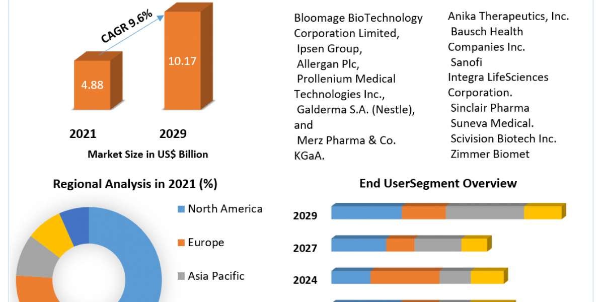 Facial injectables Market Opportunities, Future Trends, Business Demand and Growth Forecast 2030