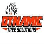 dynamic treesolutions