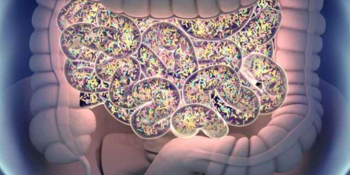 Gut Microbiome Test