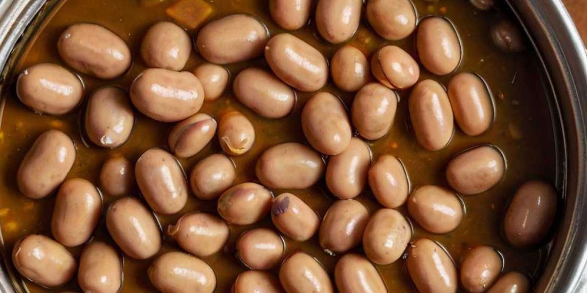 Canned Beans Manufacturing Plant Project Report 2024: Raw Materials, Investment Opportunities, Cost and Revenue