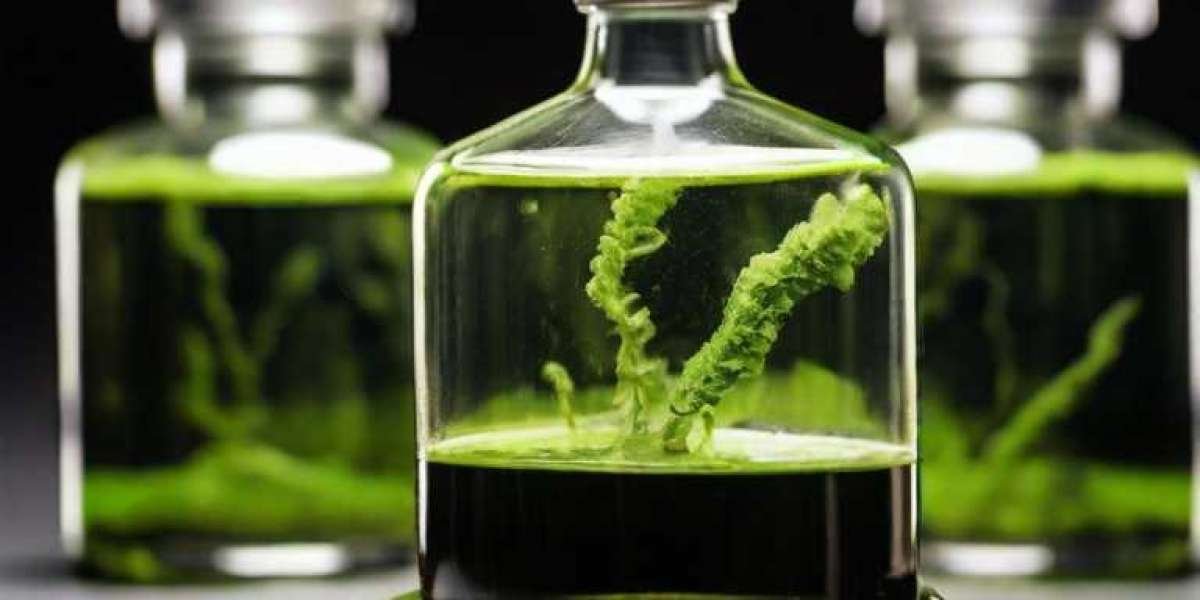 Algae Based Biodiesel Plant Project Report 2024: Raw Materials, Machinery and Technology Requirements