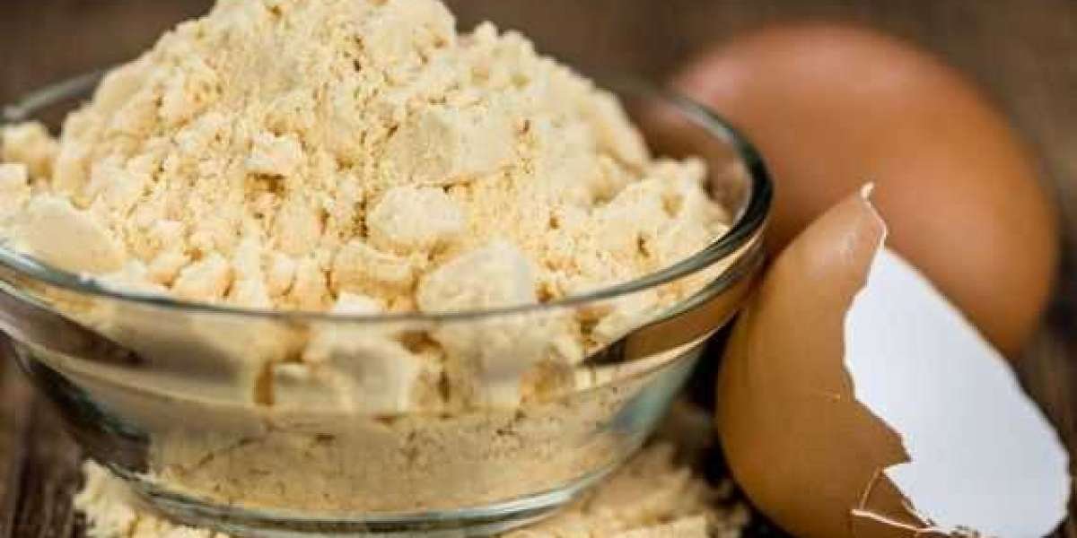 Whole Egg Powder Market Expected to be on Course to Achieve Considerable Growth to 2033