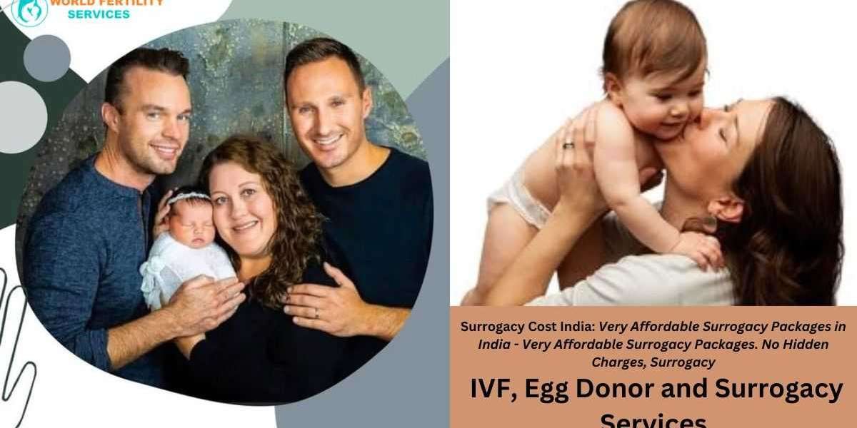 Finding affordable Surrogacy cost in Mumbai-