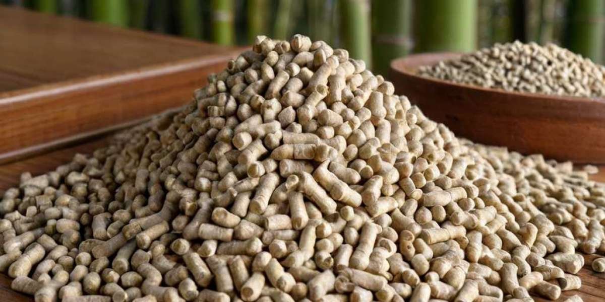 Bamboo Pellets Manufacturing Plant Project Report 2024: Comprehensive Guide on Plant Setup and Cost Involved