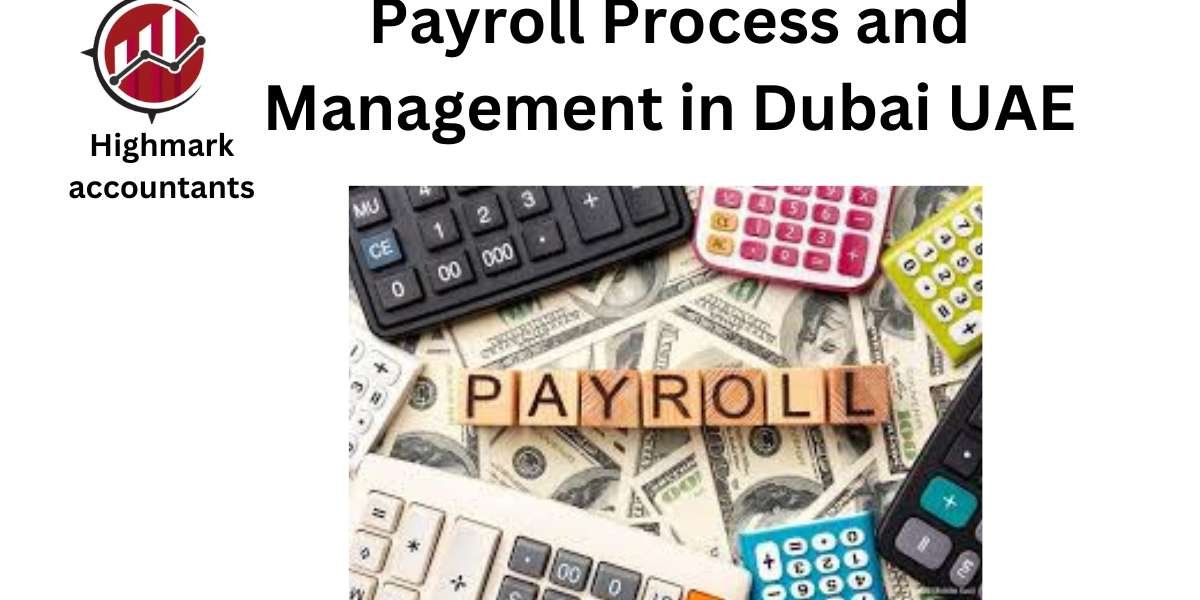 Transforming Payroll Management: Innovations for Dubai Businesses