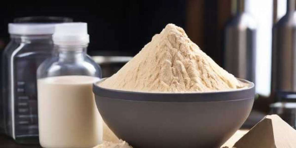 Whey Protein Manufacturing Plant Project Report 2024: Business Plan and Raw Material Requirements