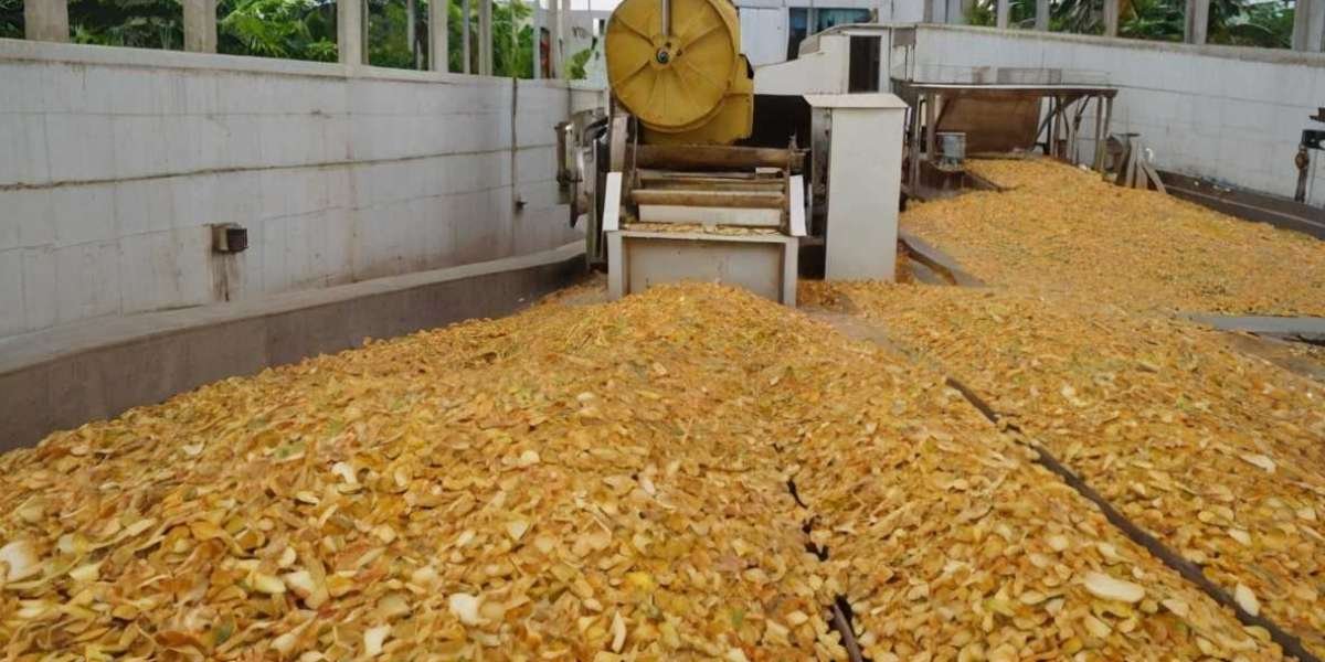 Ginger Processing Plant Project Report 2024: Industry Trends, Investment Opportunities, Cost and Revenue