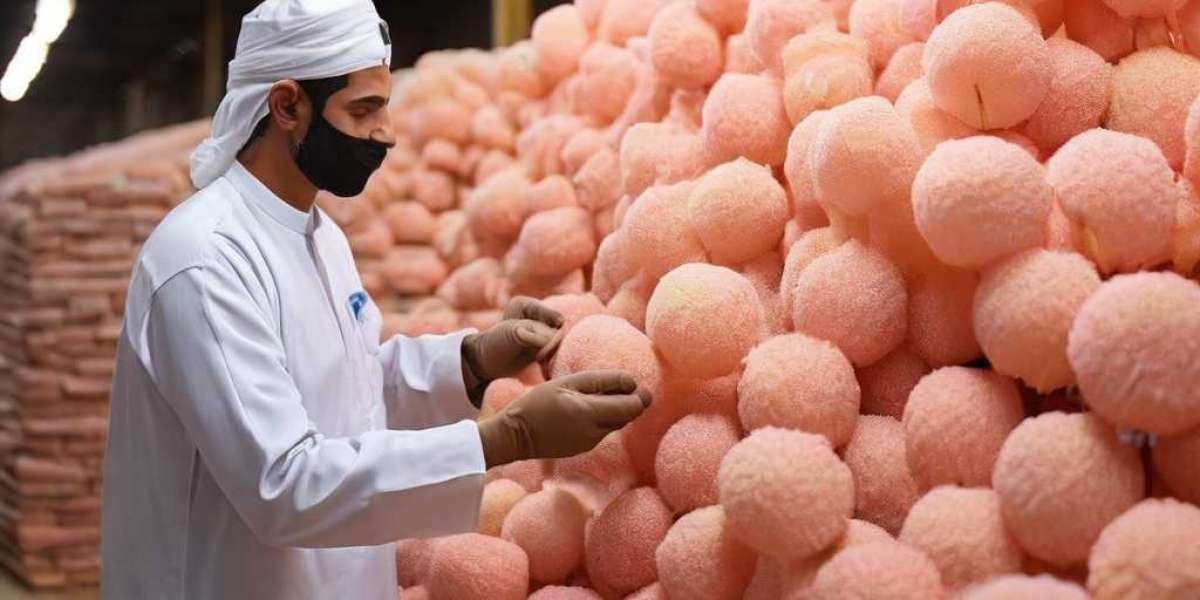 Arabic Gum Manufacturing Plant Project Report 2024: Machinery, Raw Materials and Investment Opportunities